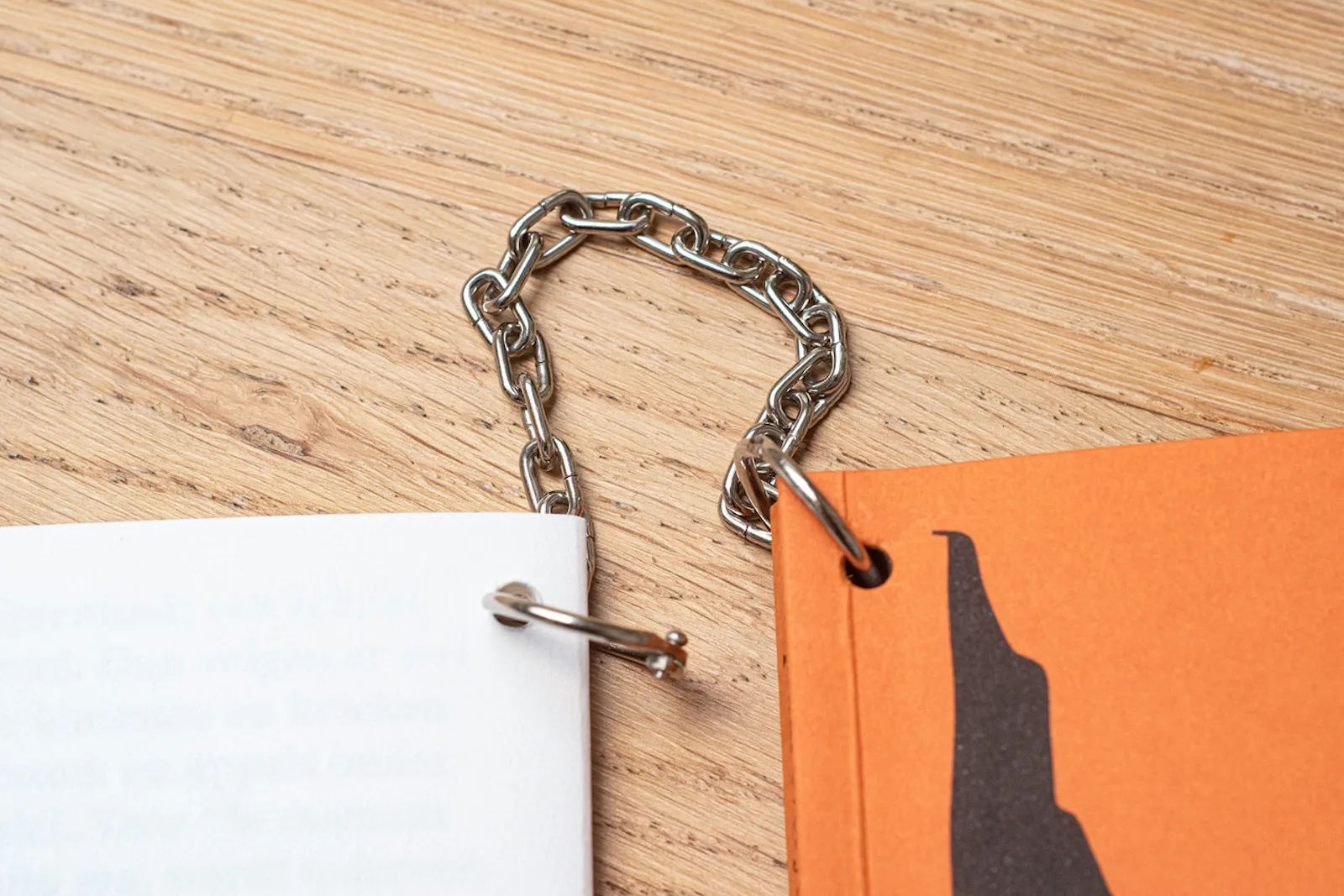 Image of Ignace Cami – I’ll explain everything to the geese