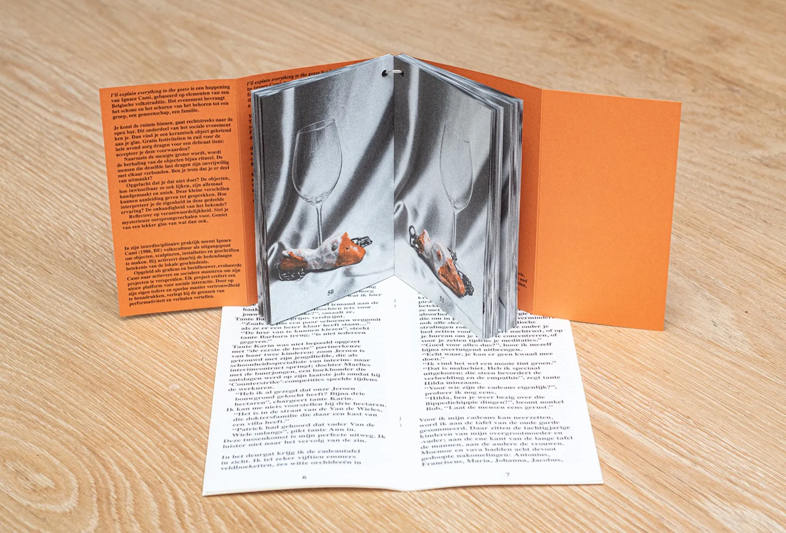 Image of Ignace Cami – I’ll explain everything to the geese