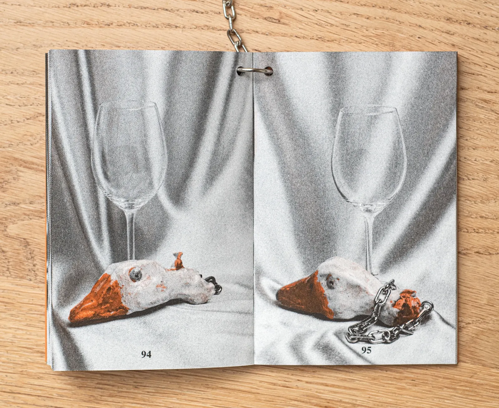 Image of Ignace Cami – I’ll explain everything to the geese