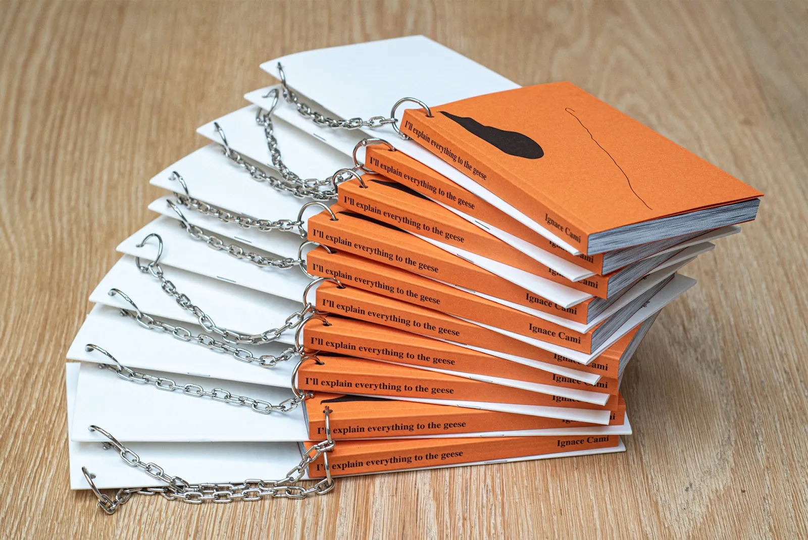 Image of Ignace Cami – I’ll explain everything to the geese