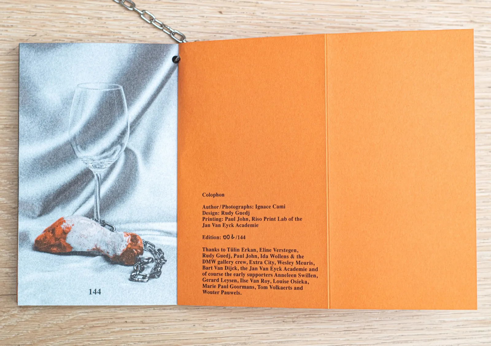 Image of Ignace Cami – I’ll explain everything to the geese