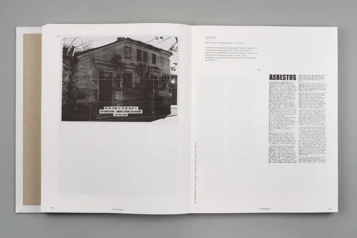 Image of Philippe Van Wolputte – Interference