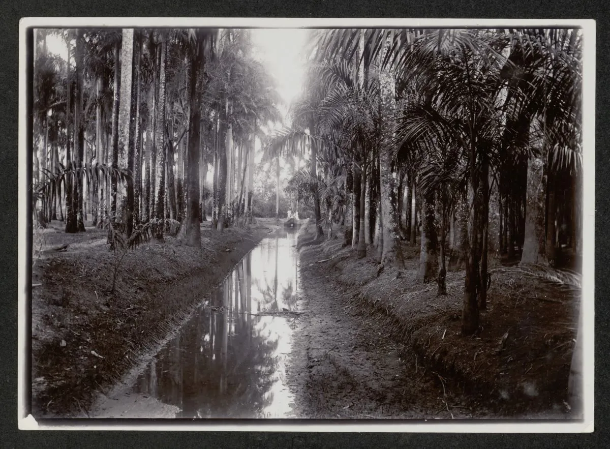 Image of Pioneers – Photography by Women