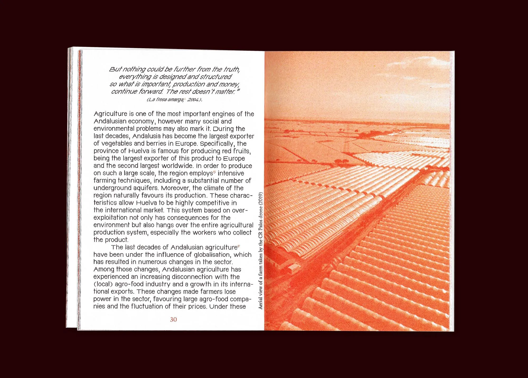 Image of The Colonial, Familiar, Nostalgic, Radical, Transformative Life of the Strawberry