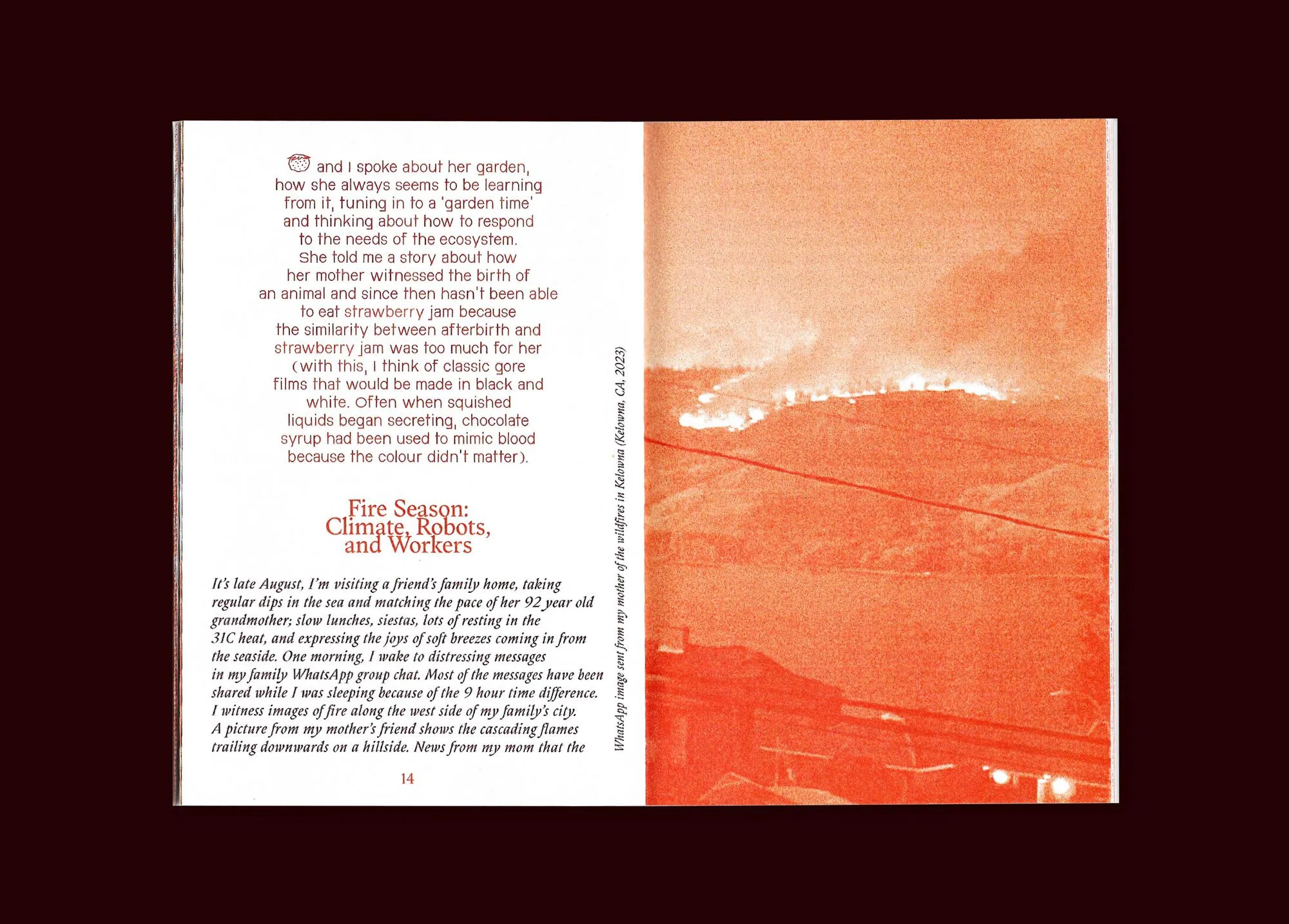 Image of The Colonial, Familiar, Nostalgic, Radical, Transformative Life of the Strawberry