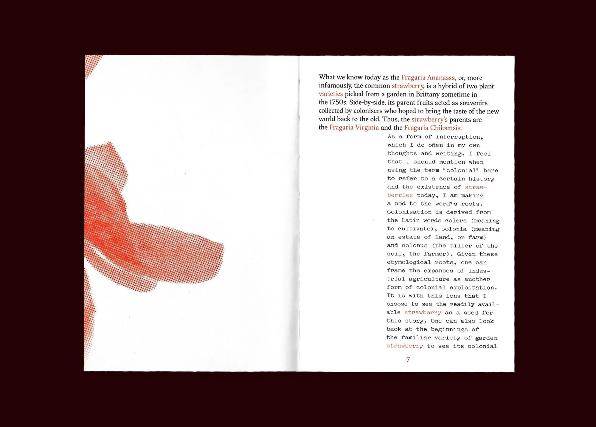 Image of The Colonial, Familiar, Nostalgic, Radical, Transformative Life of the Strawberry