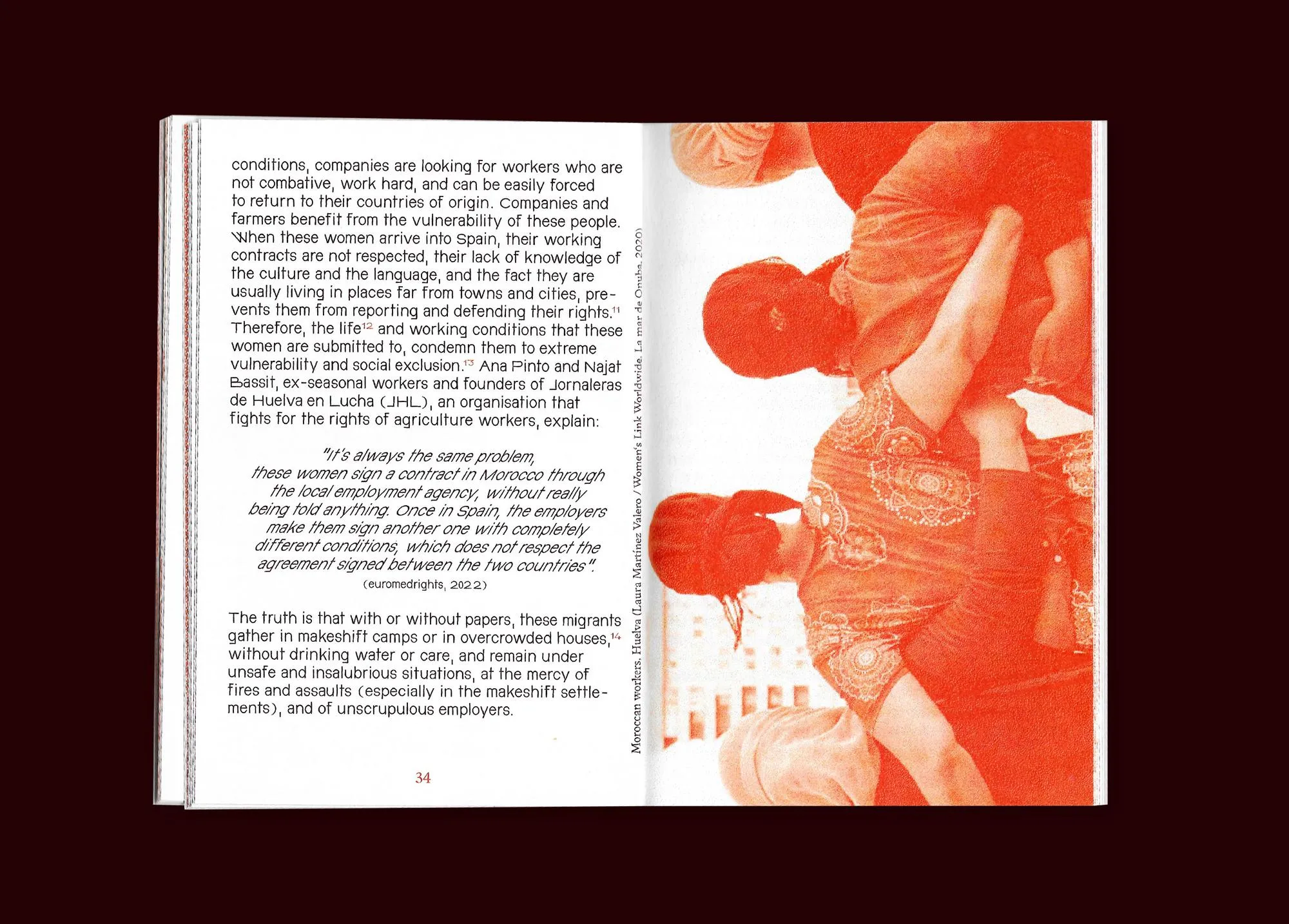 Image of The Colonial, Familiar, Nostalgic, Radical, Transformative Life of the Strawberry