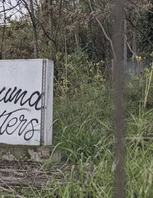 Image of TRAUM (dream) + RAUM (space) = TRAUMA