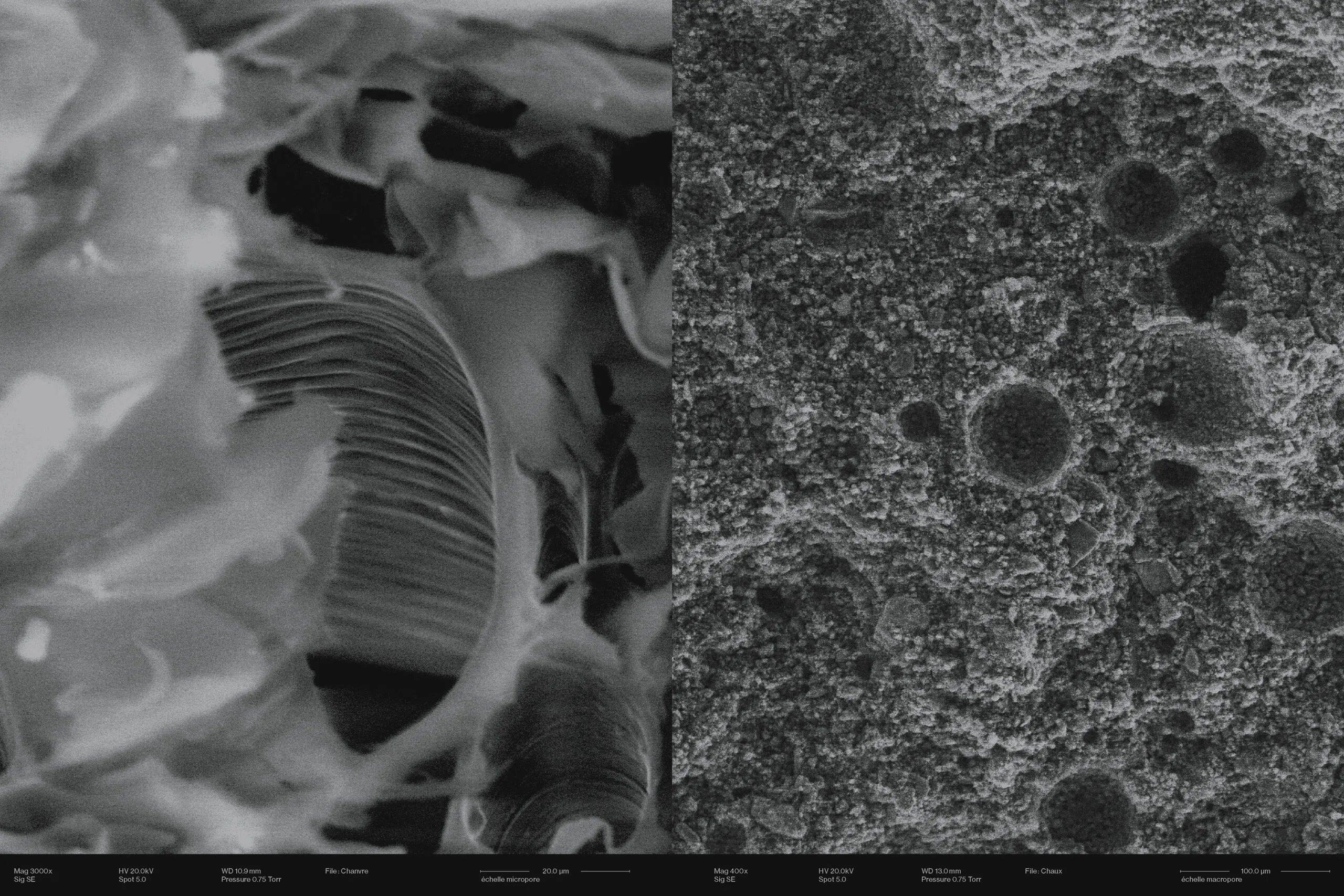 Image of Barrault Pressacco: Wallness – Nature and culture of insulation – Building with hempcrete