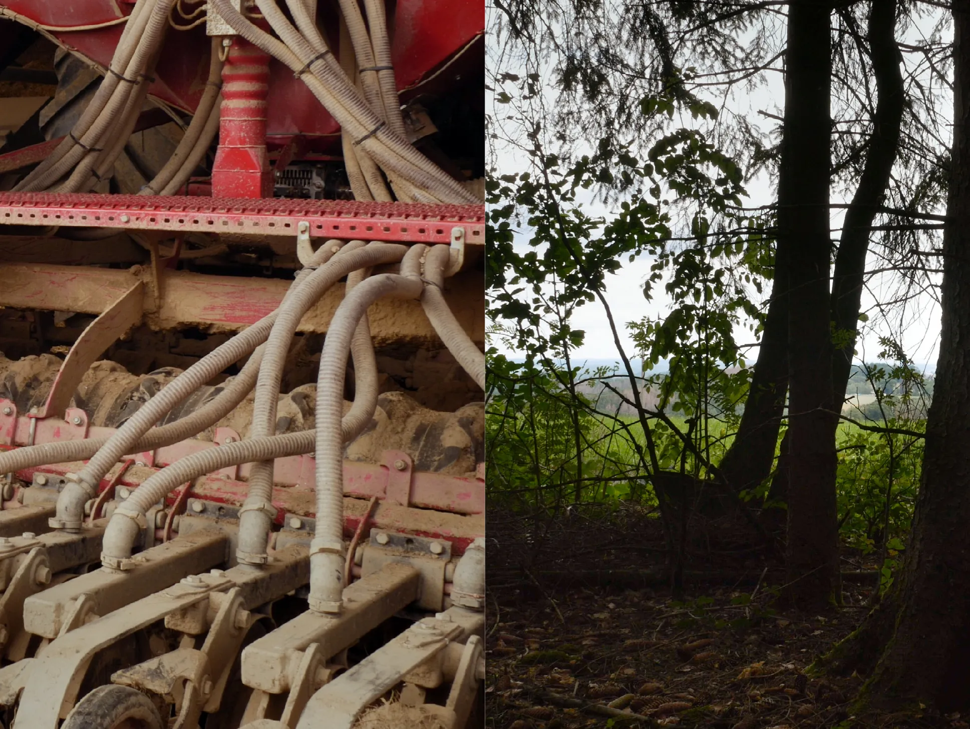 Image of Contested Landscapes