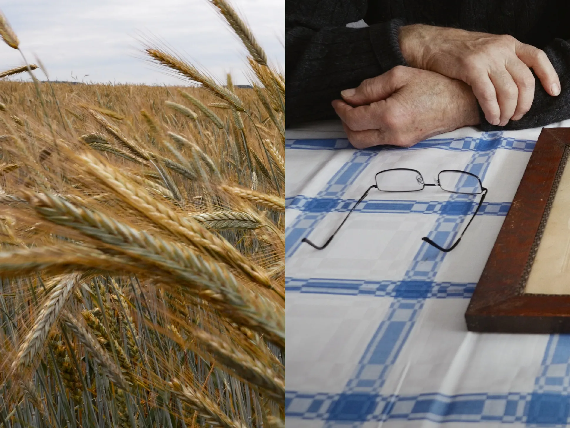 Image of Contested Landscapes