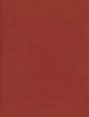 Image of Research Files N.1: The Scar as Archive