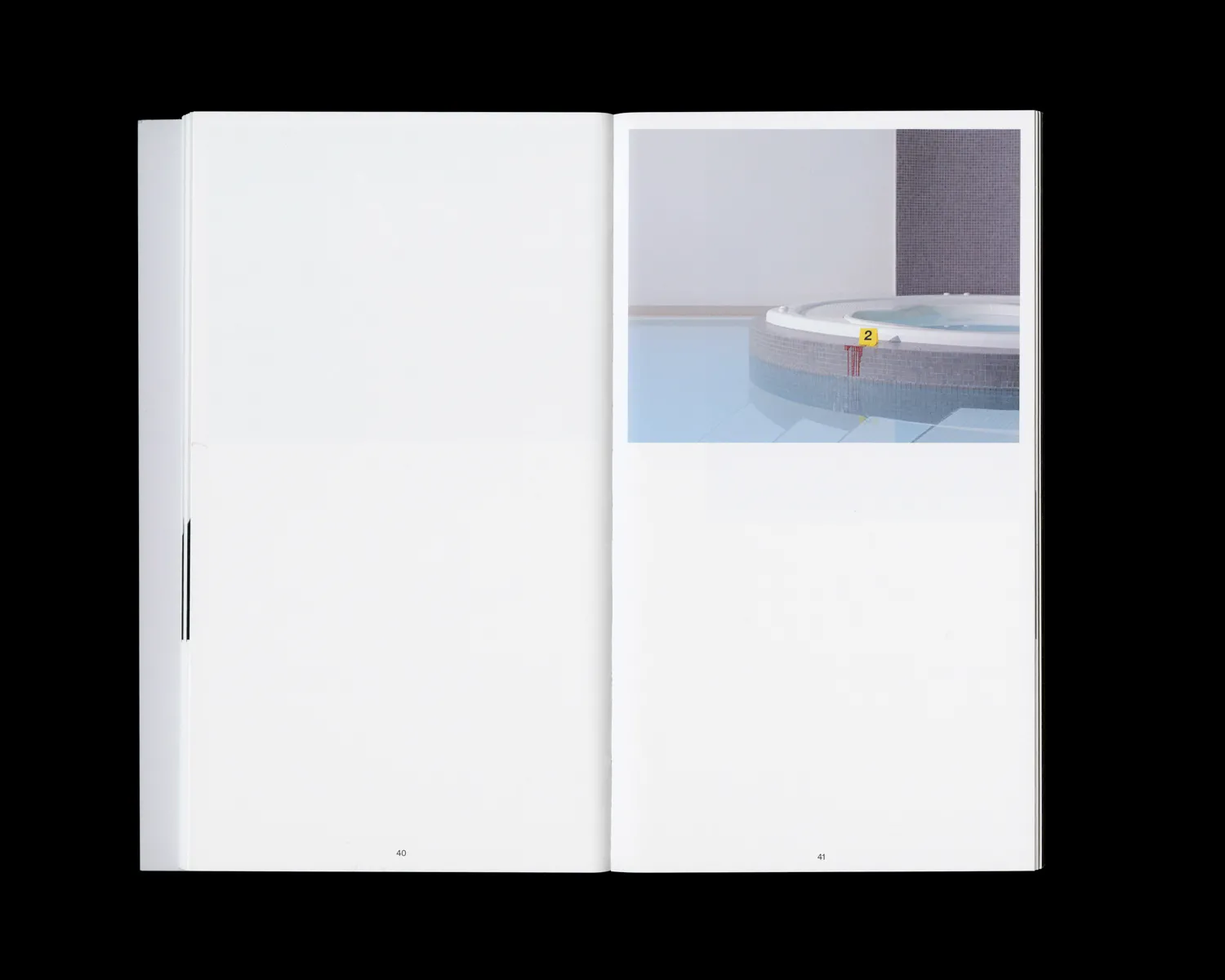 Image of The Perfect Crime: Concerning the Murder of Reality