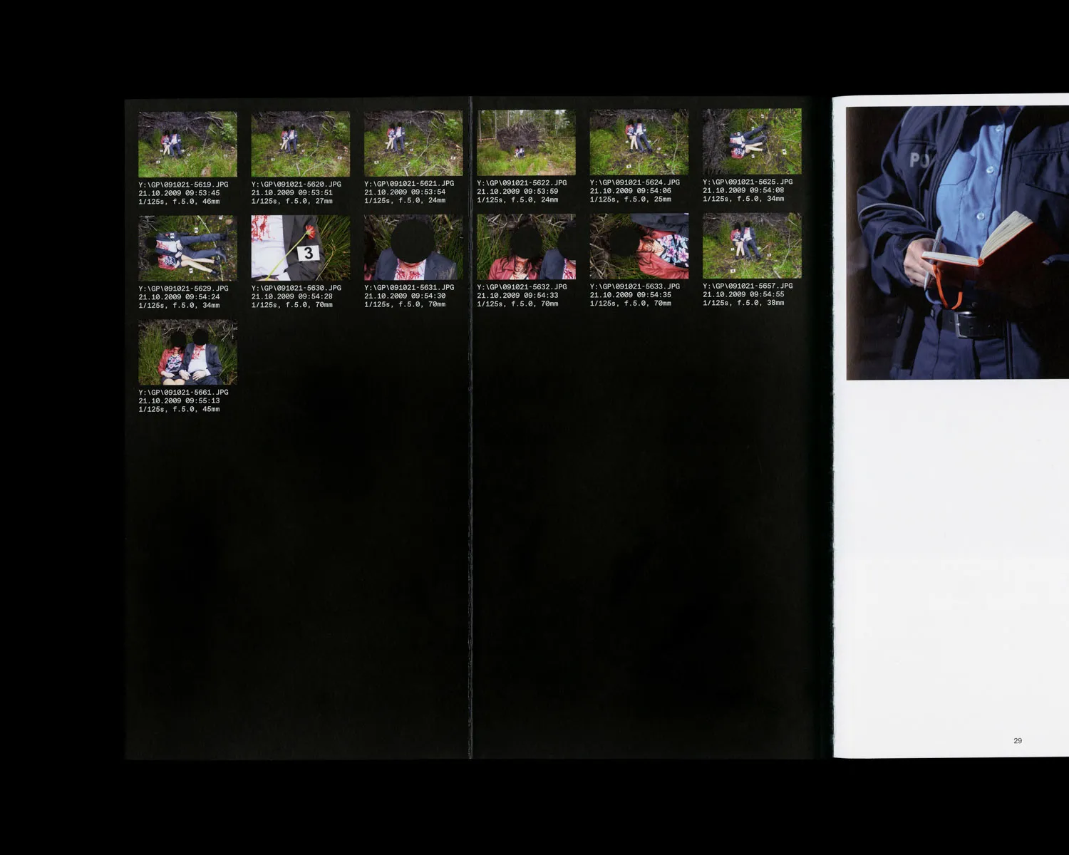 Image of The Perfect Crime: Concerning the Murder of Reality