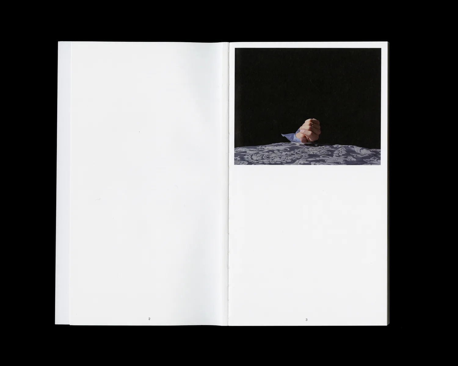 Image of The Perfect Crime: Concerning the Murder of Reality