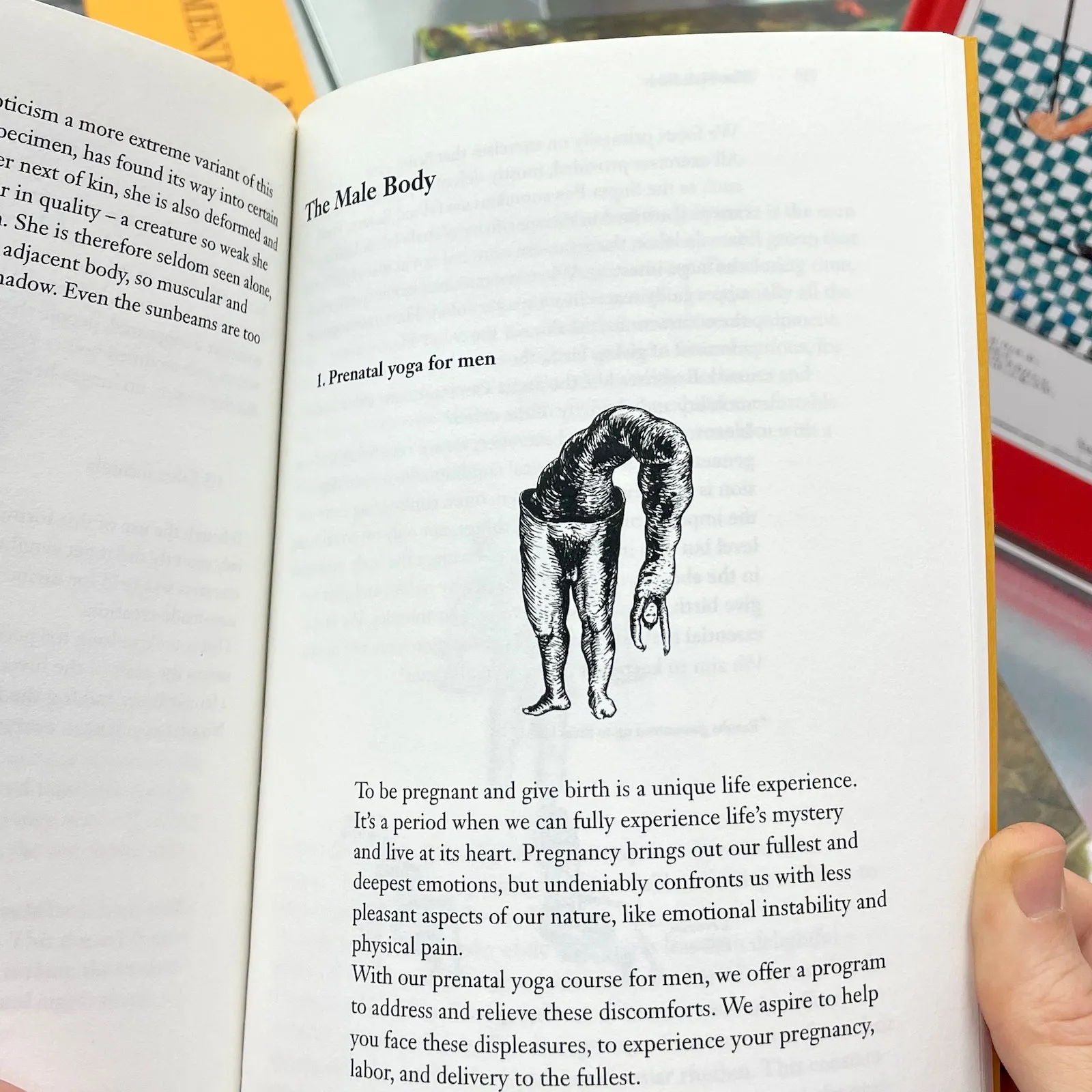 Image of When the body flourishes