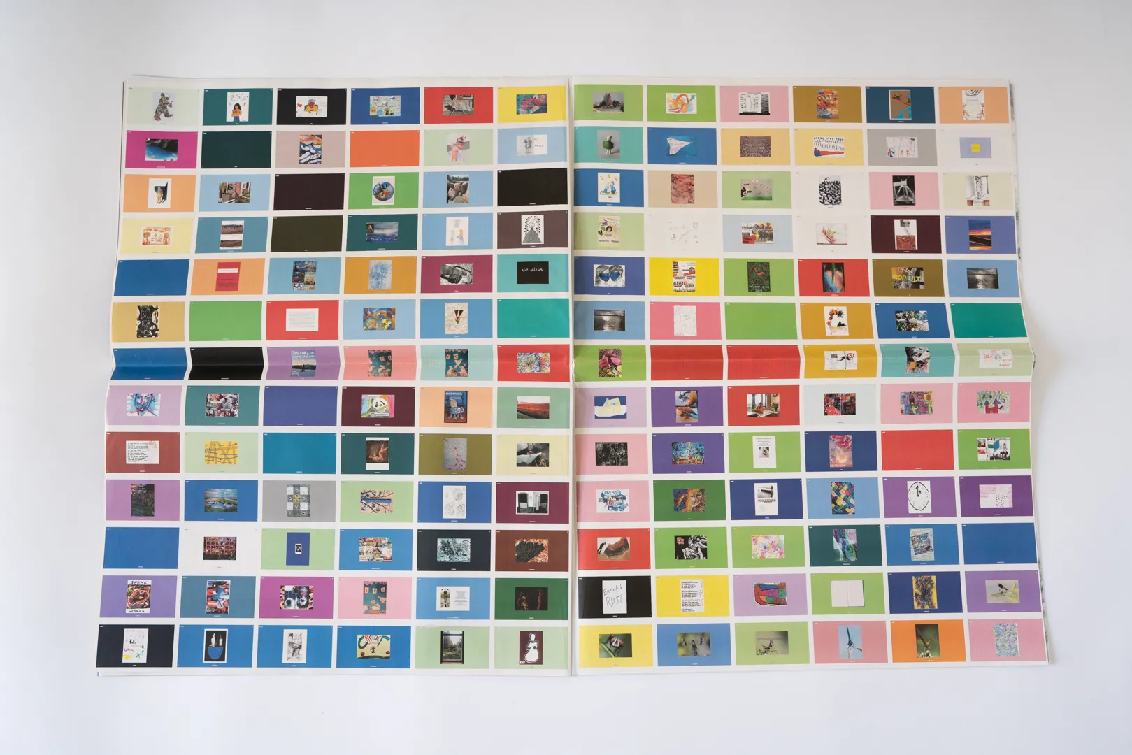 Image of Anouk Kruithof – Niet Meer Normaal