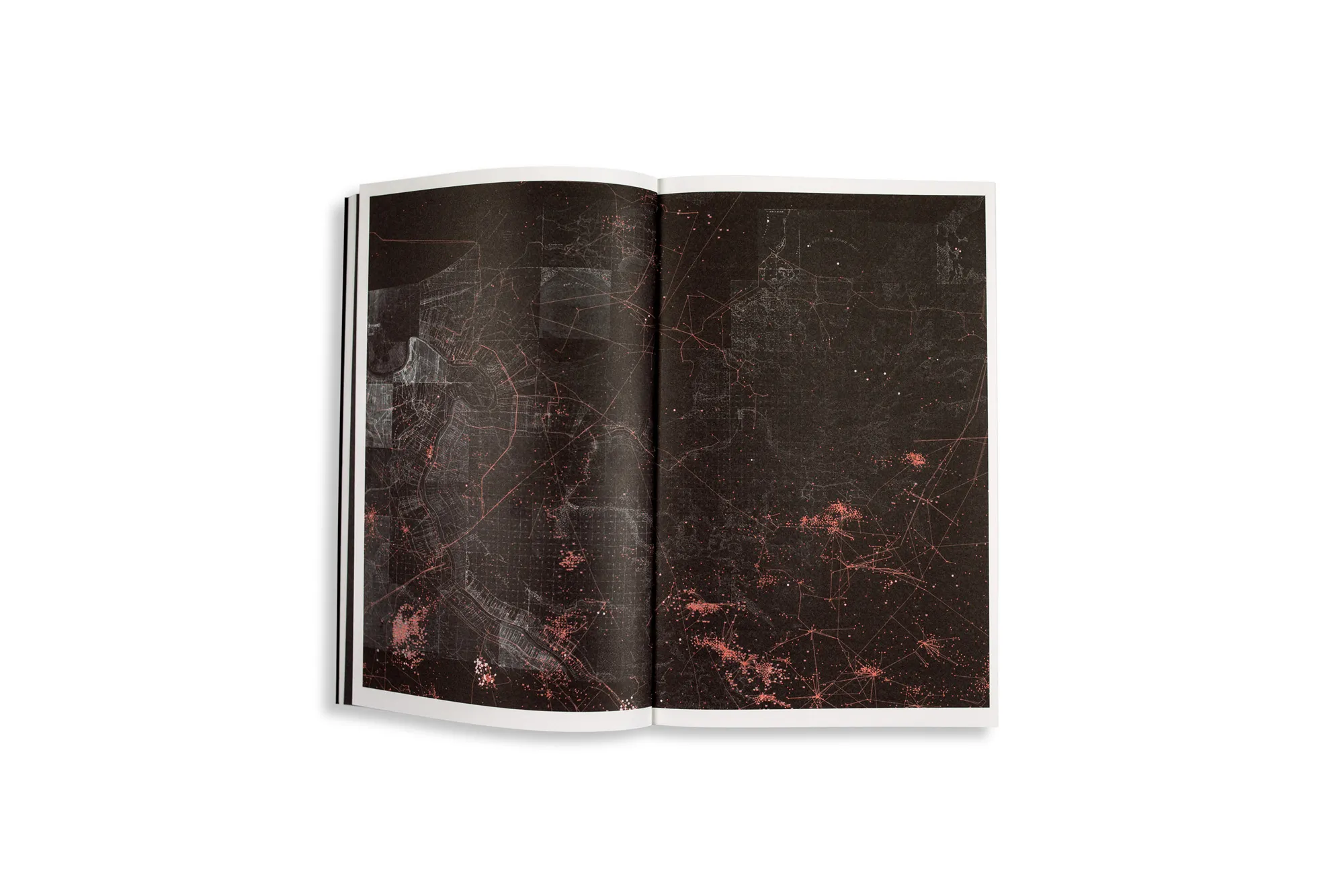 Image of Fieldwork for Future Ecologies. Radical practice for art and art-based research