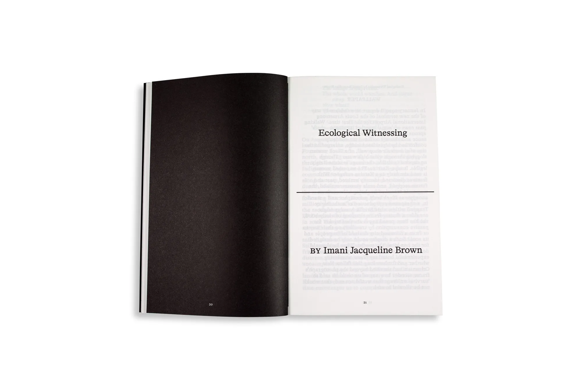 Image of Fieldwork for Future Ecologies. Radical practice for art and art-based research