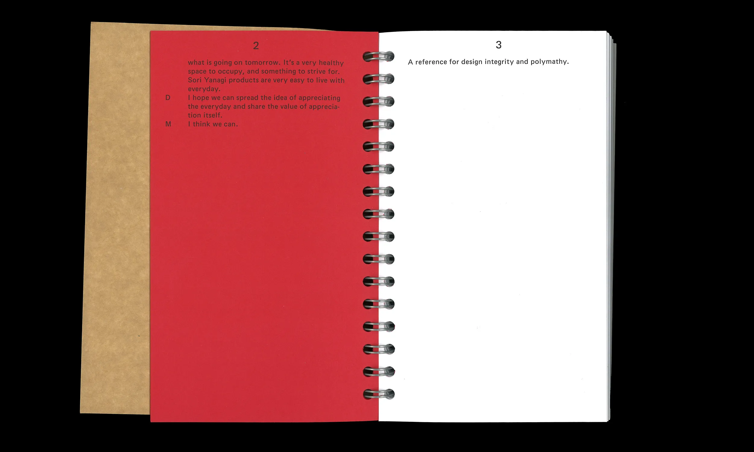 Image of The Sori Yanagi Appreciation Society