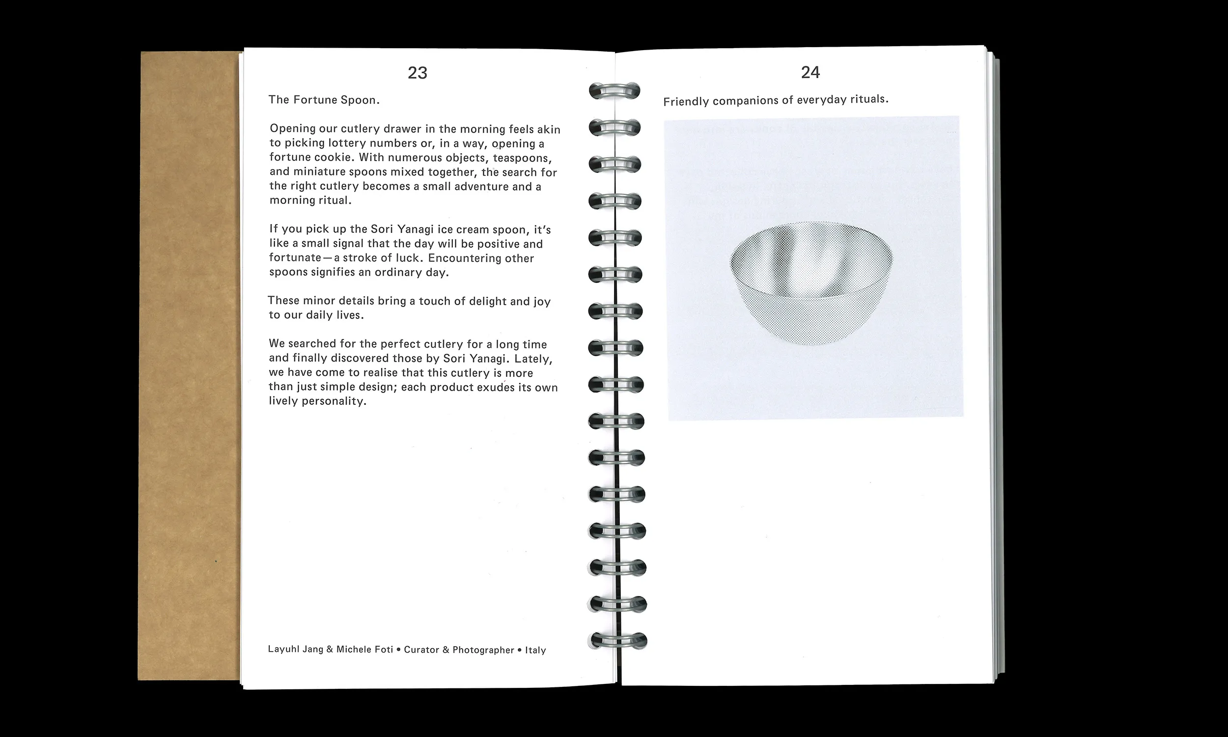 Image of The Sori Yanagi Appreciation Society