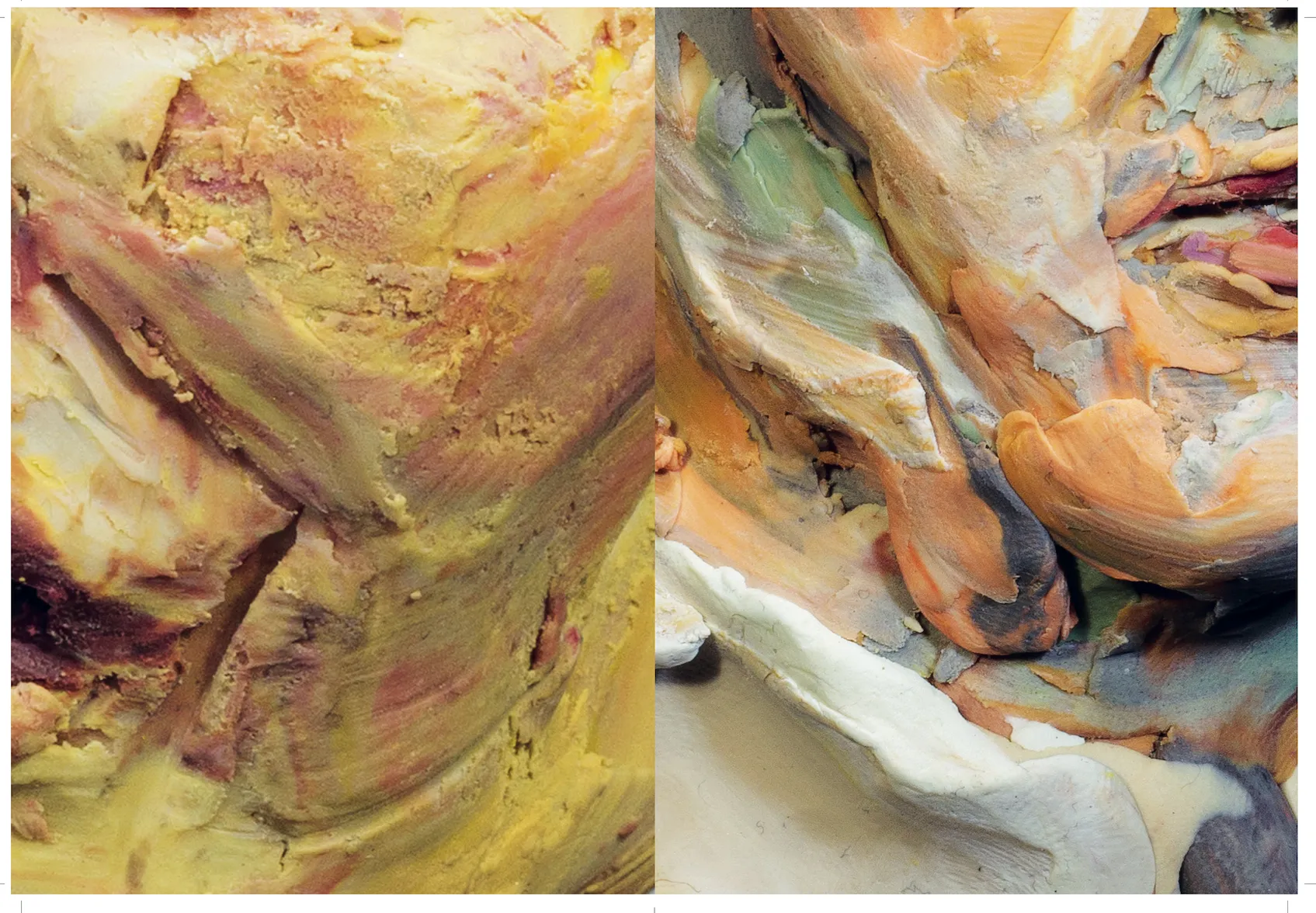 Image of Efrat Zehavi – Where Are We Going