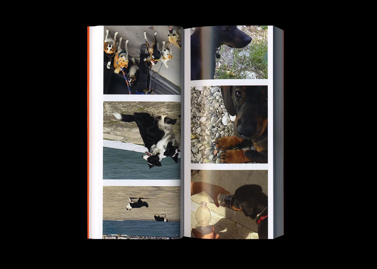 Image of Martin Bethenod – Rien de Personnel