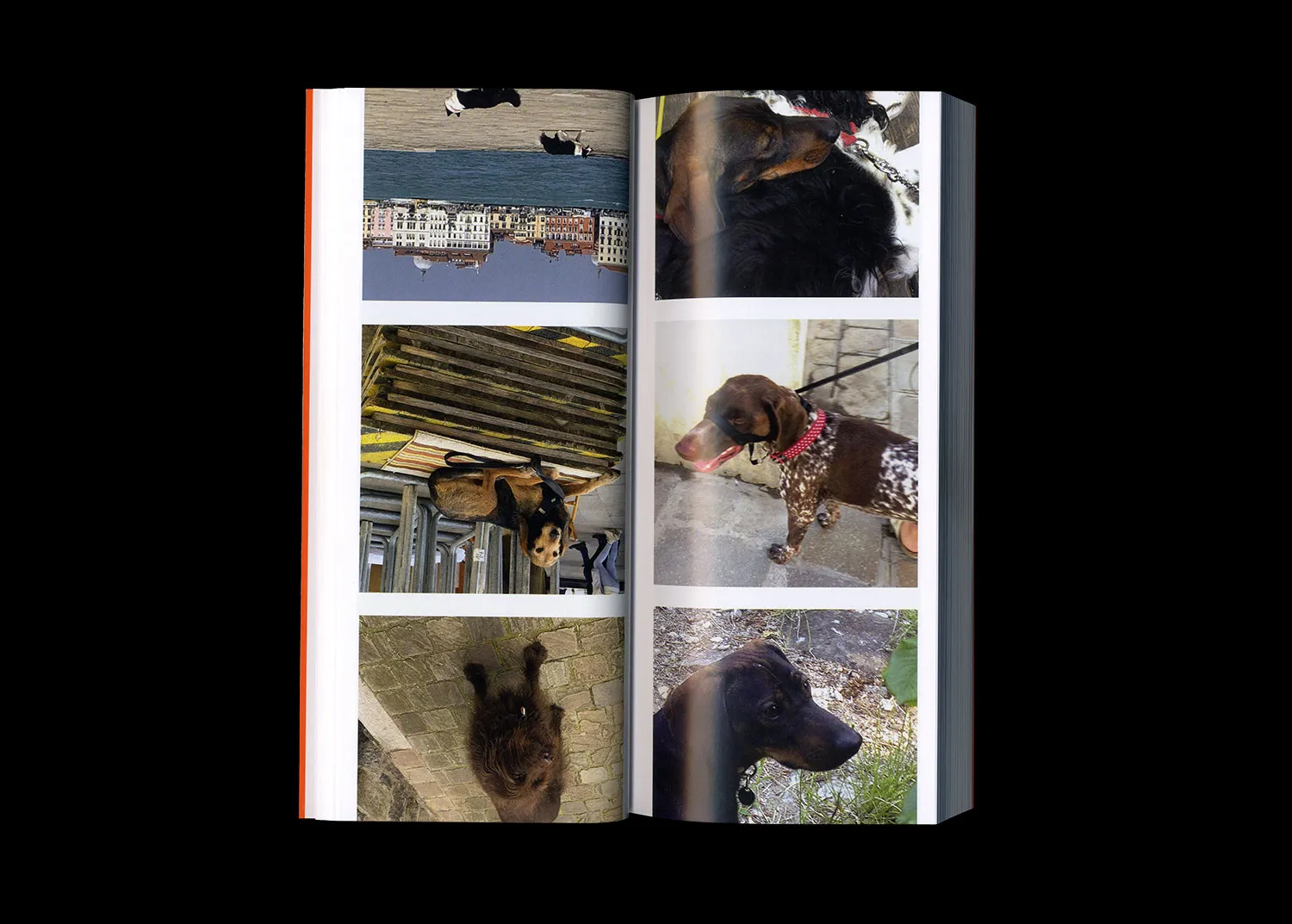 Image of Martin Bethenod – Rien de Personnel