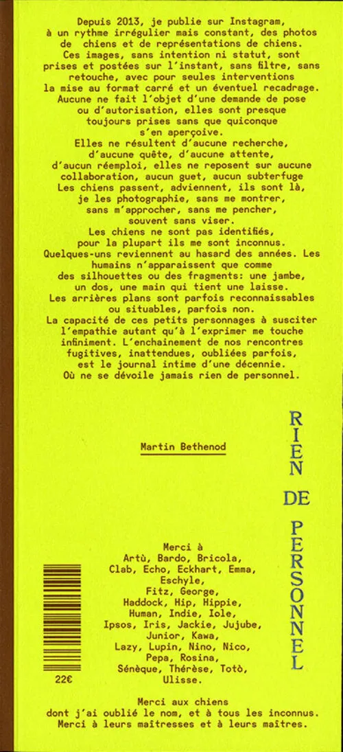 Cover Martin Bethenod – Rien de Personnel