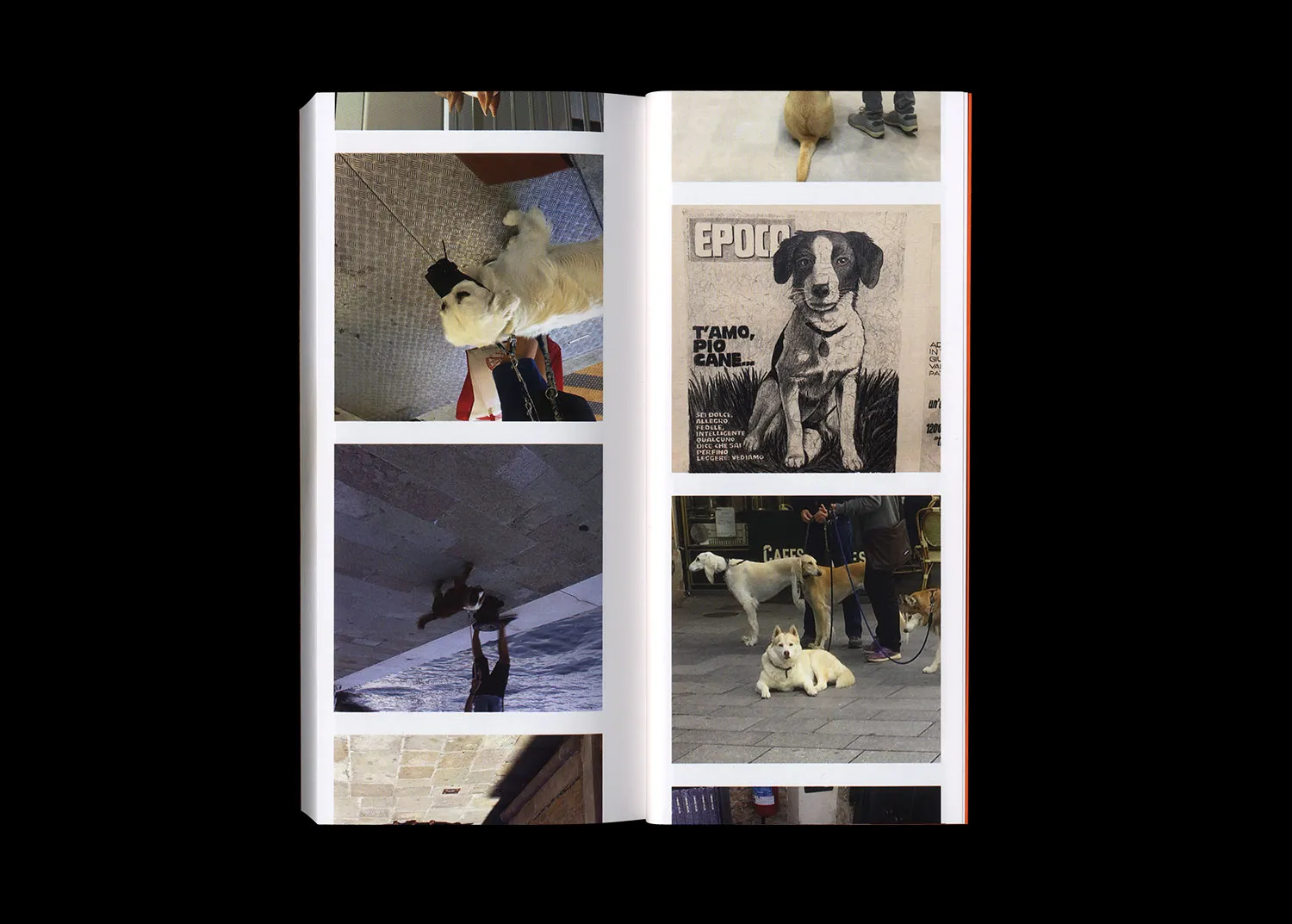 Image of Martin Bethenod – Rien de Personnel