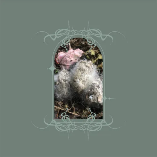 Cover Ben Bondy | Glans Intercum