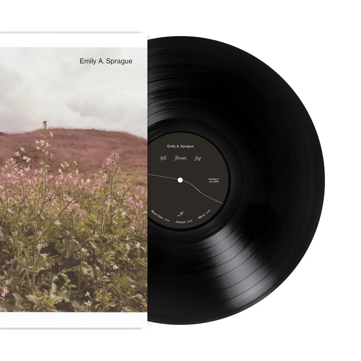 Image of Emily A. Sprague | Hill, Flower, Fog