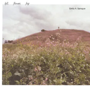 Image of Hill, Flower, Fog