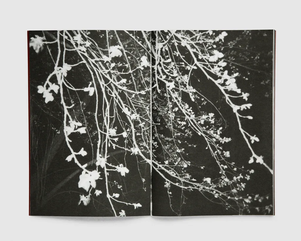 Image of Julie van der Vaart – SKIN