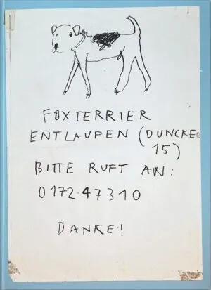 Image of Please Look in the Basement