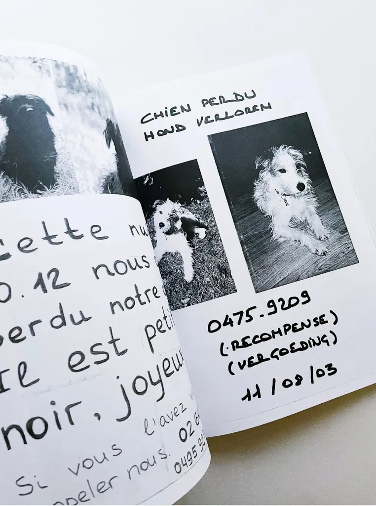Image of Maarten Inghels – Please Look in the Basement