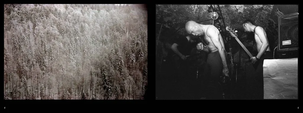 Image of Mark Rietveld – A long loving look