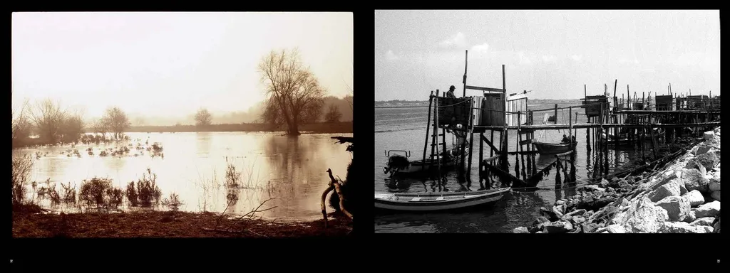 Image of Mark Rietveld – A long loving look