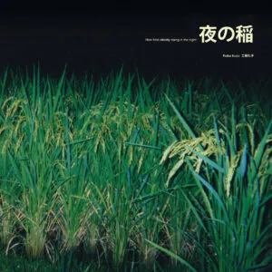 Image of Rice Field Silently Riping In The Night