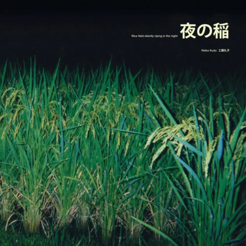 Cover Reiko Kudo | Rice Field Silently Riping In The Night