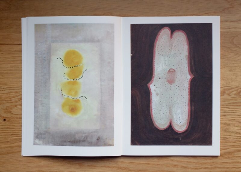 Image of Ruth van Haren Noman – the bear and the butterfly Image of Ruth van Haren Noman – the bear and the butterfly
