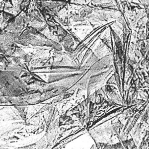 Image of Reime