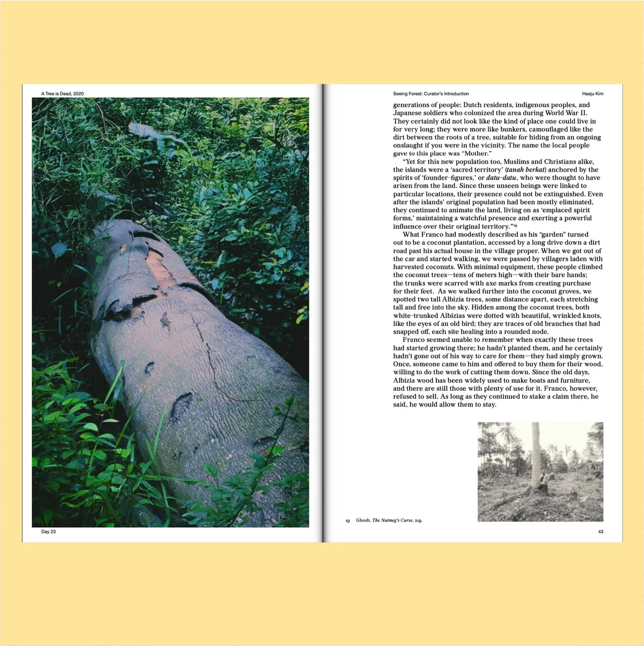 Image of Robert Zhao Renhui: Seeing Forest, Volume 2 of 2