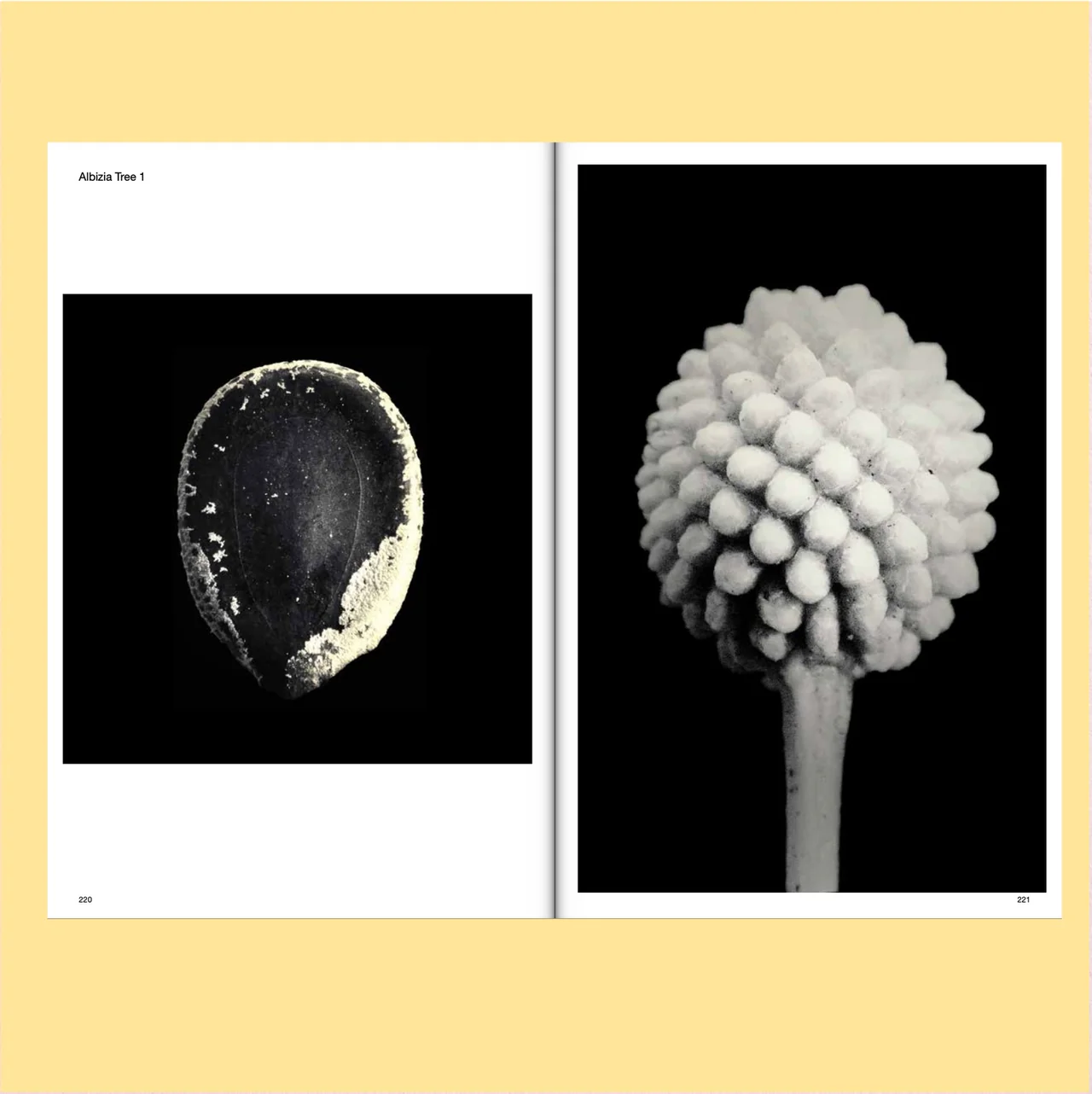 Image of Robert Zhao Renhui: Seeing Forest, Volume 2 of 2