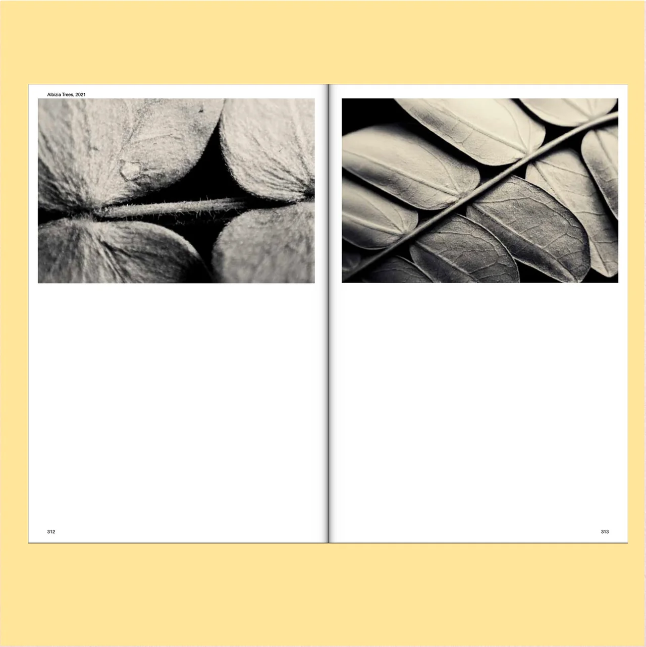 Image of Robert Zhao Renhui: Seeing Forest, Volume 2 of 2