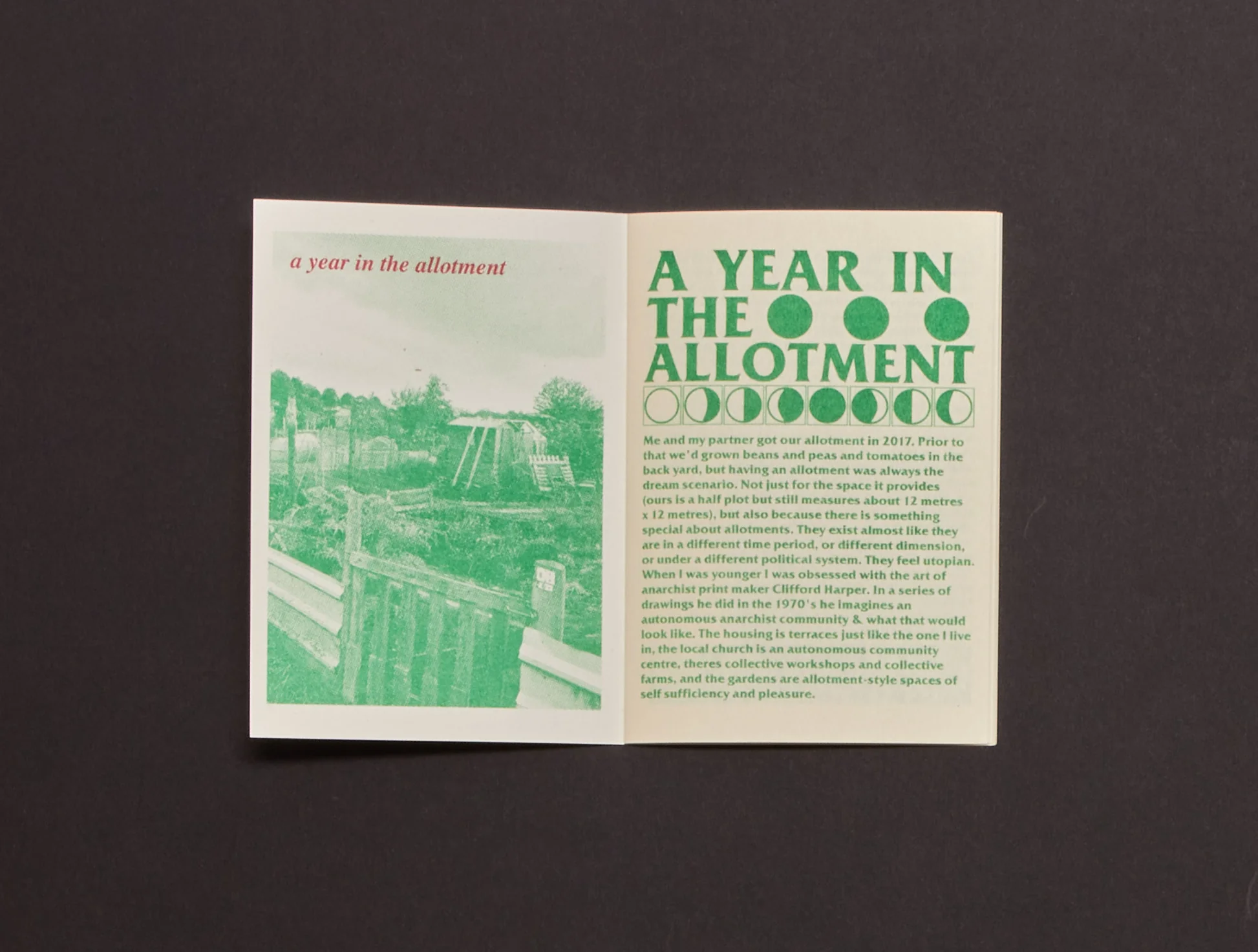 Image of A Year in the Allotment