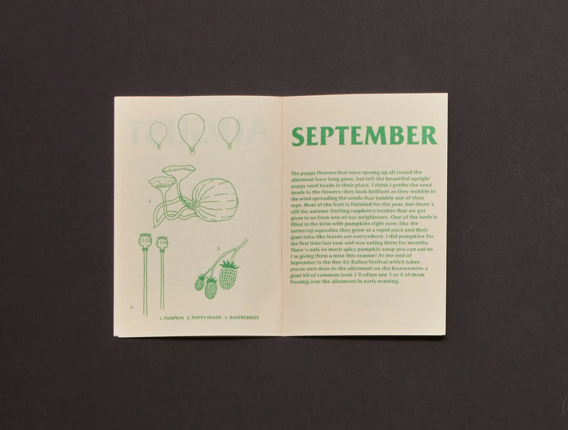 Image of A Year in the Allotment