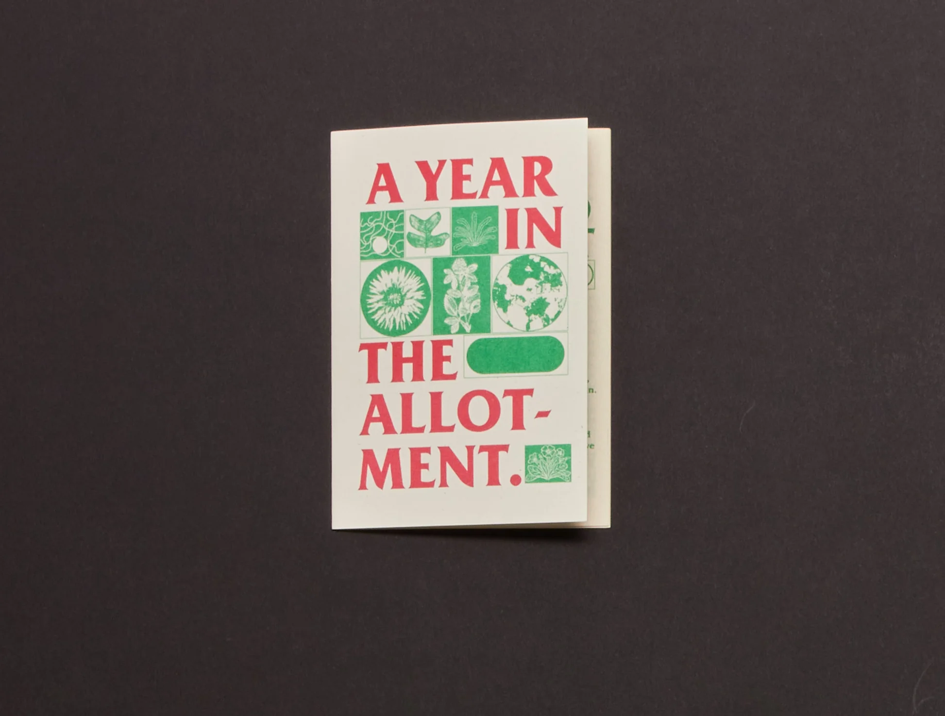 Image of A Year in the Allotment