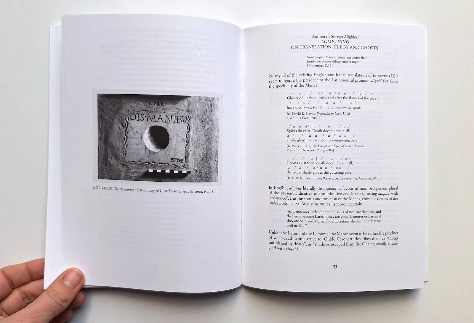 Image of Andrea di Serego Alighieri – Know how to now it’s that you’re learning the segments That aren’t sentences at all and converse with each other