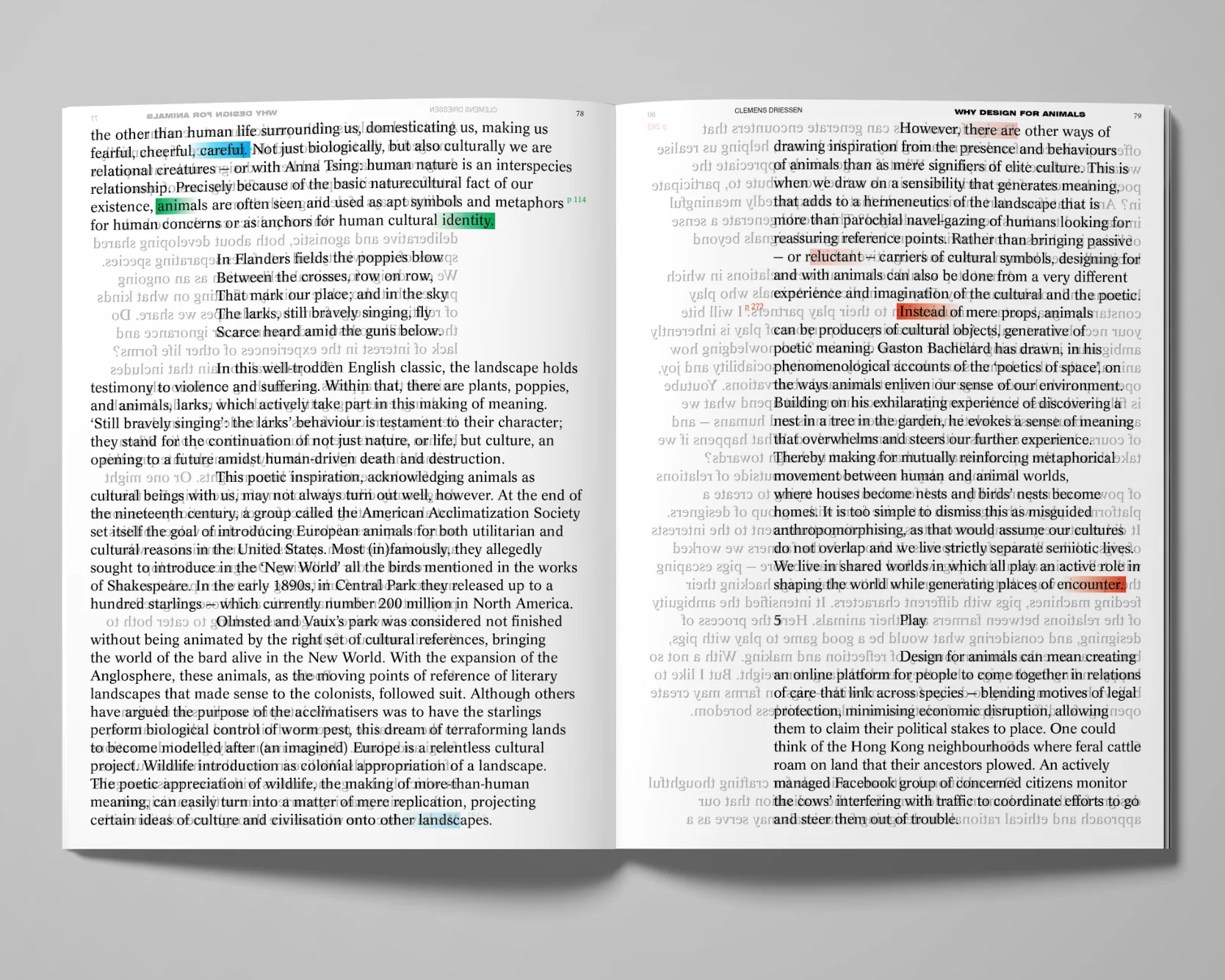 Image of Decentering Design — Practice in a More-than- human World